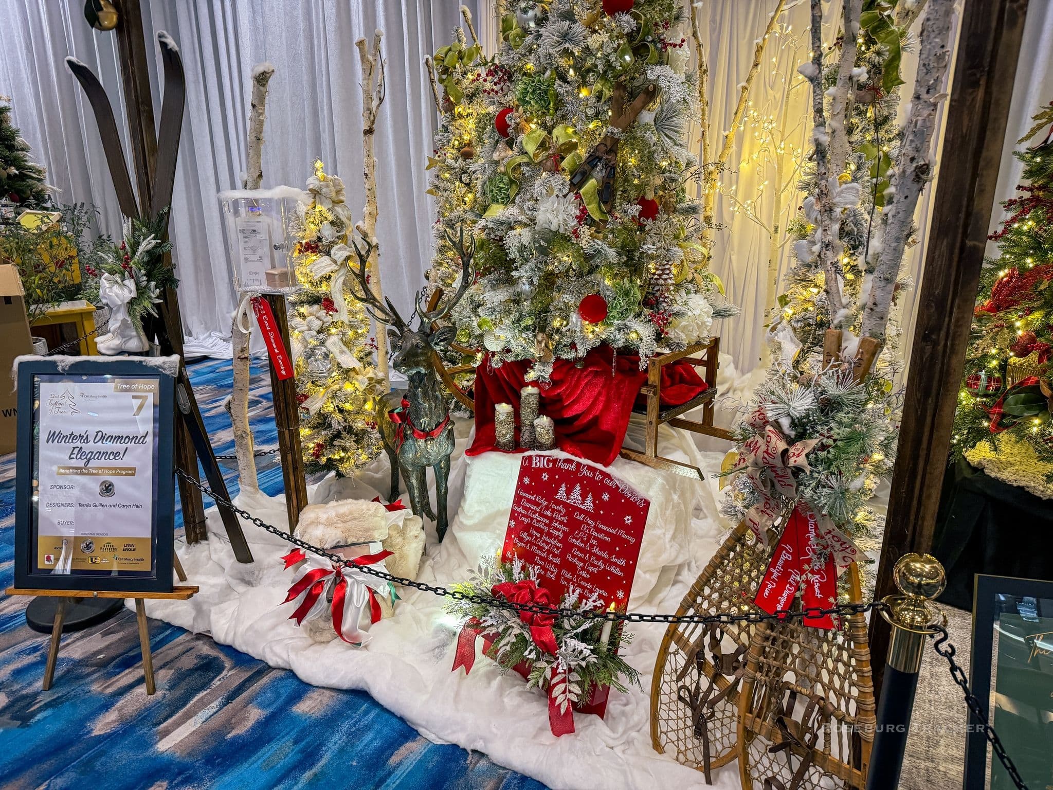 Winter's Diamond Elegance thumbnail 3