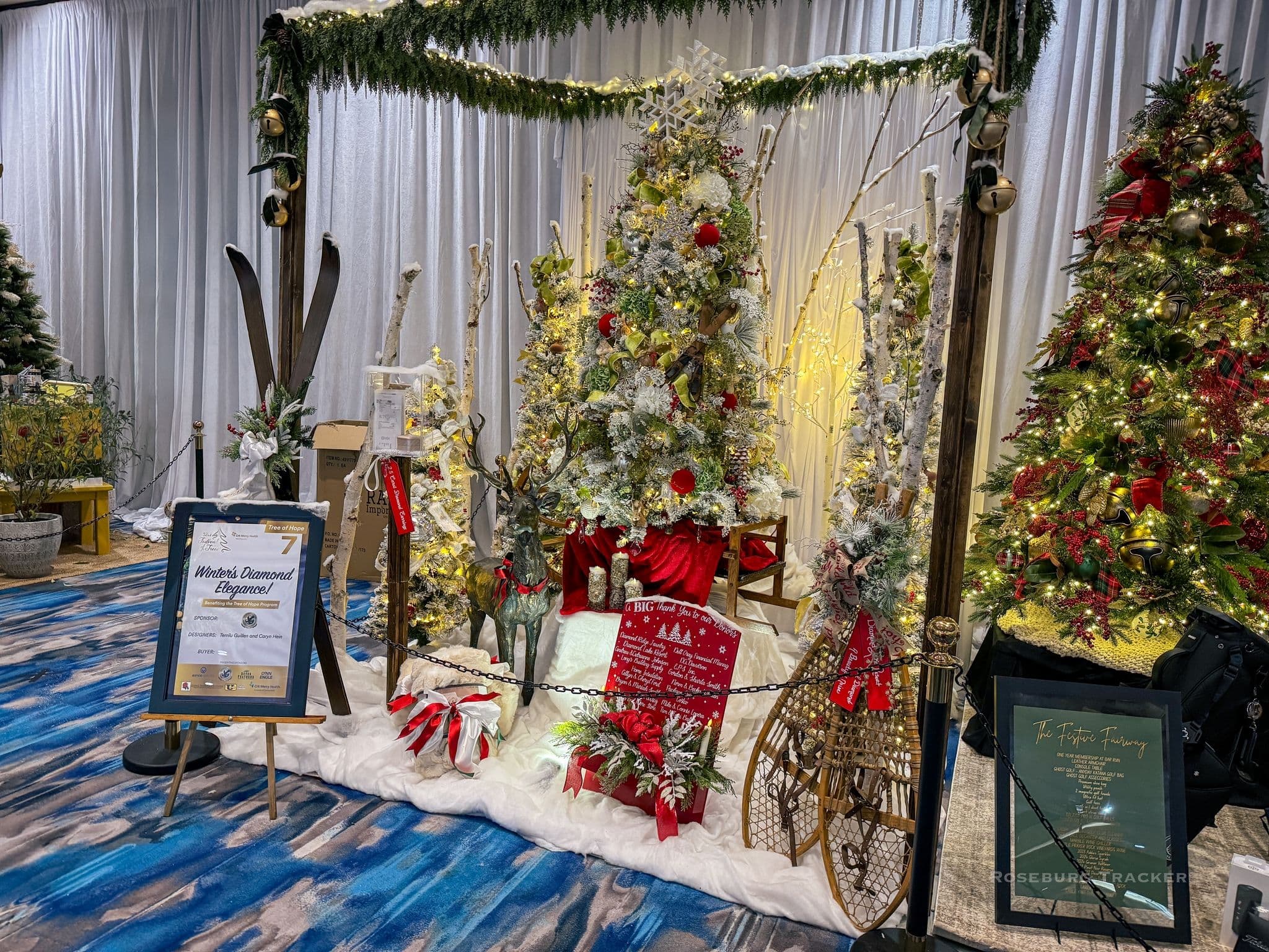 Winter's Diamond Elegance